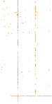 Punch card